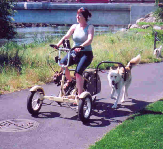 Dog trike